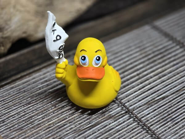 Bye Bye Duck – Bild 2