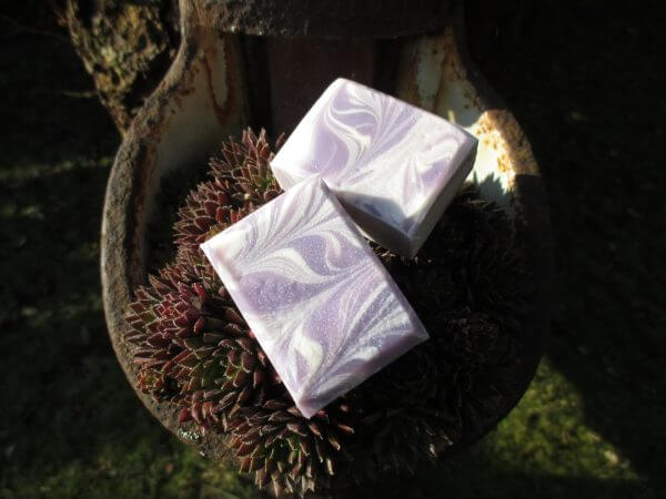 Lavender – Bild 2