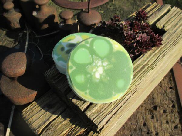 Lemon Verbena – Bild 2