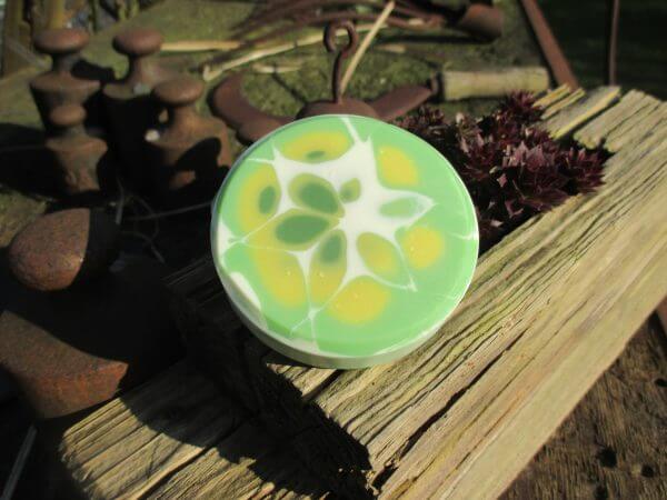 Lemon Verbena – Bild 3
