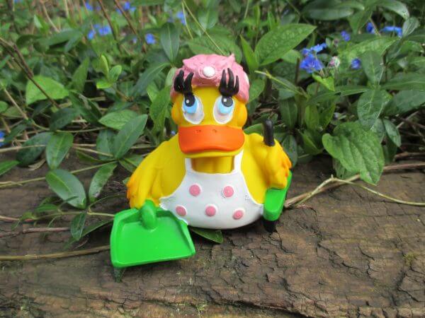 Paula Putzfee Duck
