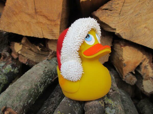 Santa Duck – Bild 2
