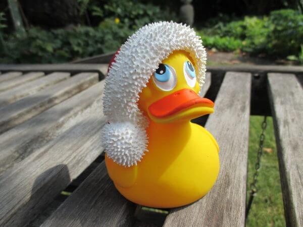 Santa Duck